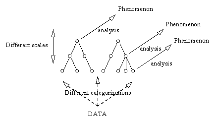 Figure 1. Hierarchical reasoning: scale and categorization affect analysis